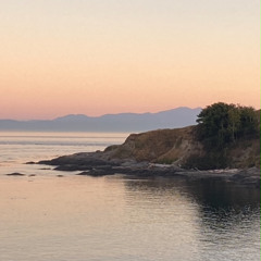 Nina Remix disquiet0729