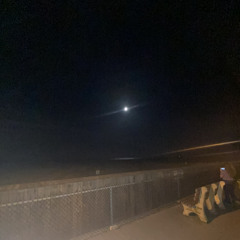 no ones coming to save you x goggins