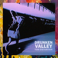 FREE DOWNLOAD: Tom Distortion — Drunken Valley (Original Mix)