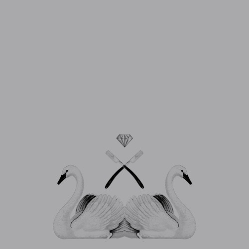 Saturnining (The Field Remix)