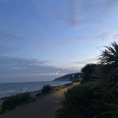 myself p. xaviersobased