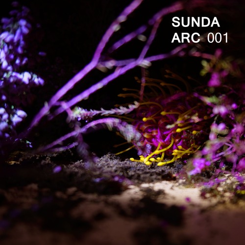 Sunda Arc - SUNDA ARC 001 [ATS009]