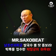 Alexandra Stan - Mr.Saxobeat (SORRYBADA 소리바다 REMIX)