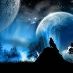 TranzmooN