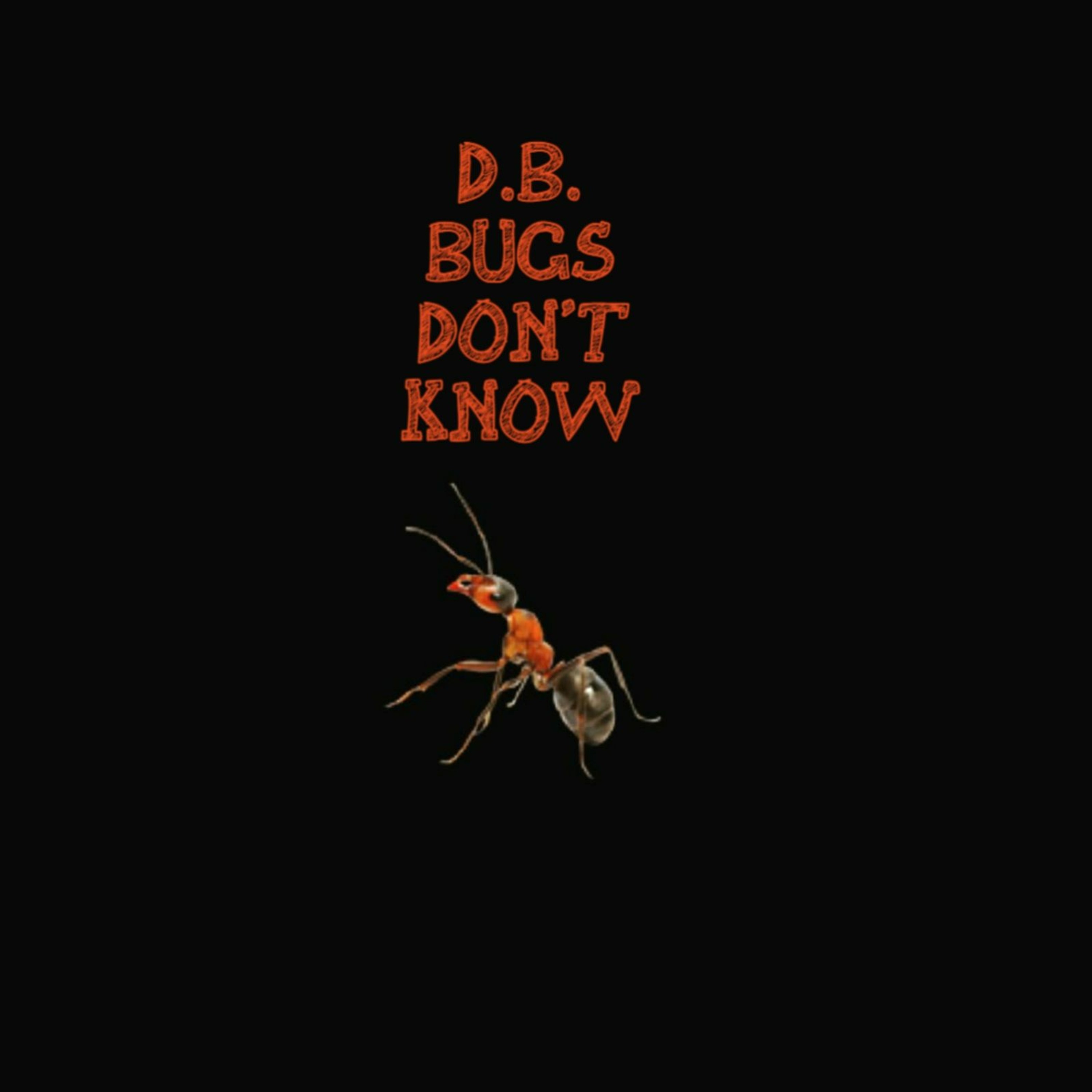 D.B. Bugs Don't Know episode artwork