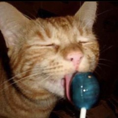 Cat Eated a Candy Pop