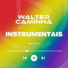WALTER CAMINHA - INSTRUMENTAIS VOL. 4 (PREVIEW) Pix/Paypal