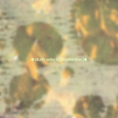 slush•selects [september]