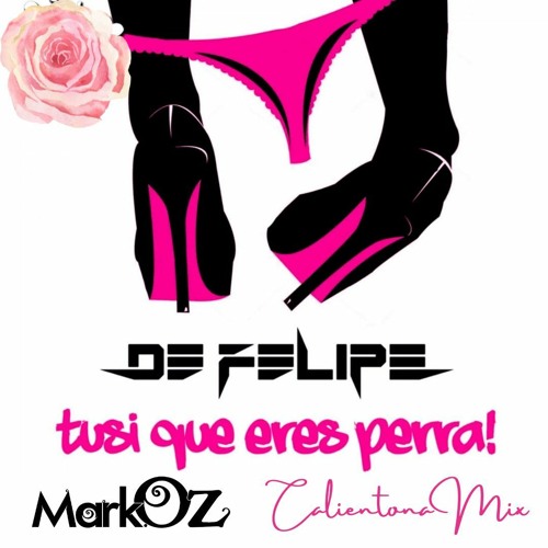 Luis Erre De Felipe - Tusi Que Eres Perra (Mark Oz Calientona Mix)FREE DOWNLOAD
