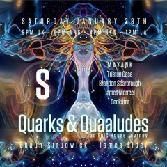 Guest Mix for Quarks & Quaaludes 2023.01.28
