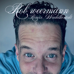wackelkontakt remix