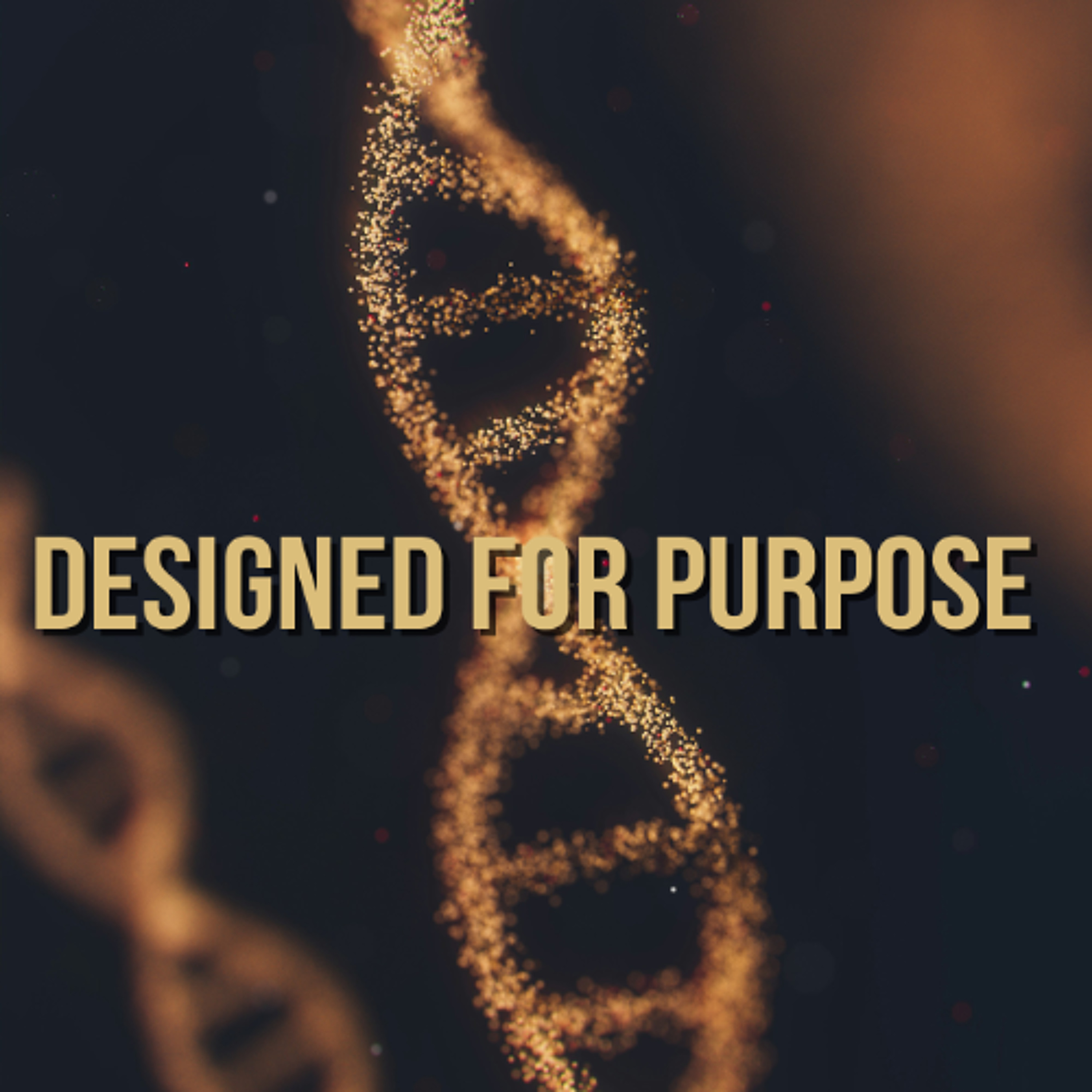 Designed for Purpose