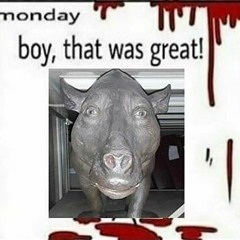 TikTok Lights XDXDXD (with placeholder)