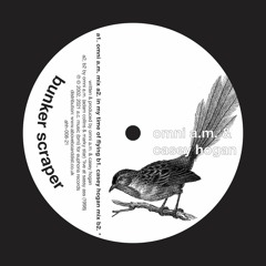 Omni A.M. - In My Time Of Flying