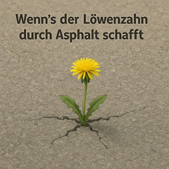 Wenn´s der Löwenzahn durch Asphalt schafft....