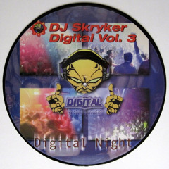 DJ Skryker - Digital Night