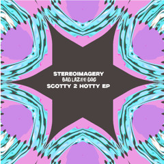 Stereoimagery - Chicka Flamingo