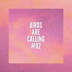 Maz @ Birds Are Calling #02