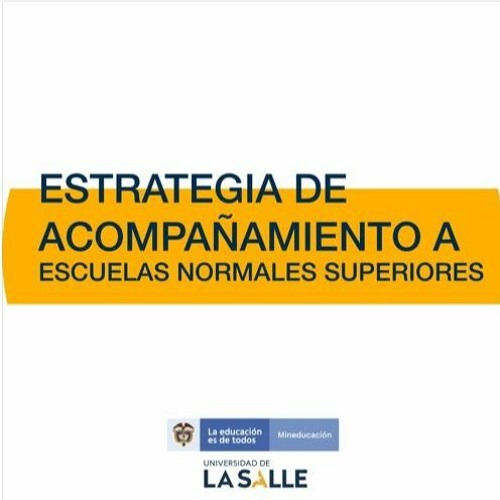 Introducción Estrategia de acompañamiento ENS