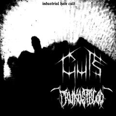 Industrial hate cult