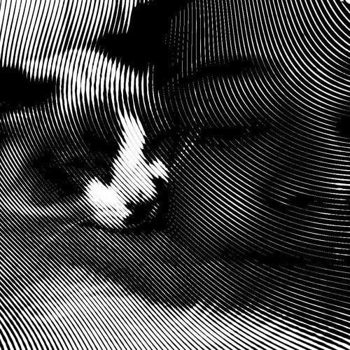 Sorted Series - s ngular ty