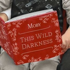 Moby - This Wild Darkness (Isaac Differding Unofficial) V3.MSTR
