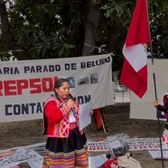 AUDIO 2 - 2024 - 02 - 22 Adriana