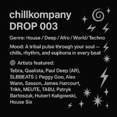 chillkompany – DROP 003 Genre: Techno / Deep / Progressive Mood: Joy • Energize • Tribal • Chill