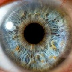 Fake Blood - I Think I Like It (REWORK HOUSE) Rdwn. & AnthonyHas  2D16