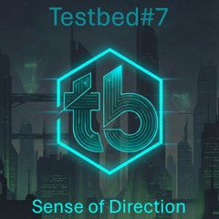 Testbed #7 Sense of Direction