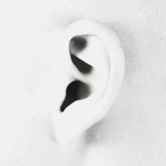 Ears Wide Open #6 - Ricardo Roessel