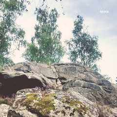 A Forest (The Cure cover)
