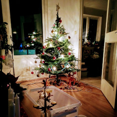 Celebrating in December 2025