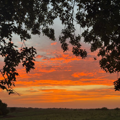 These Days (Live at Ralph's Garage)