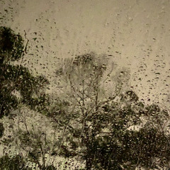 Transient