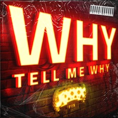 Anita Meijer - Why Tell Me Why (JiXXX Fix)