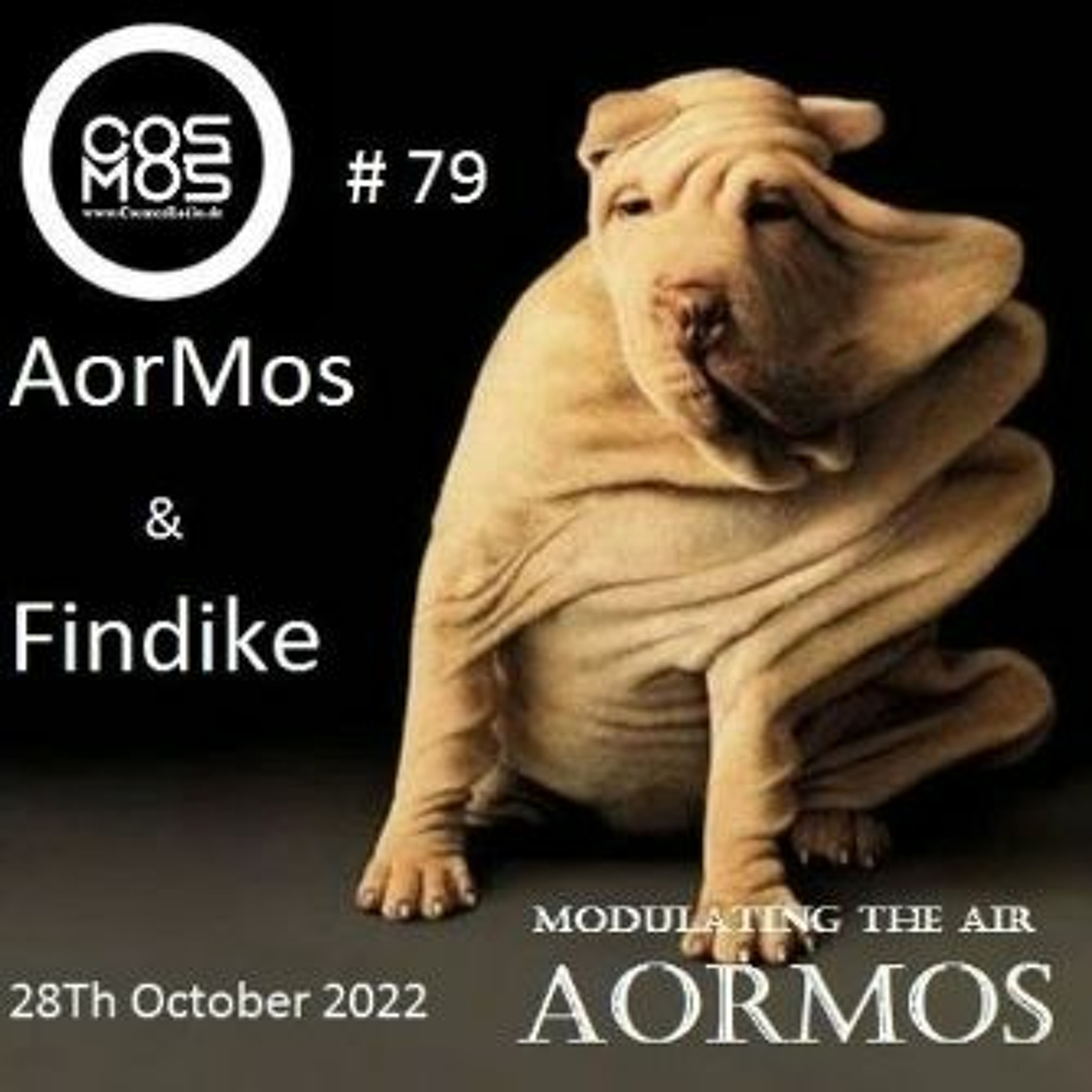 Findike Podcast Official