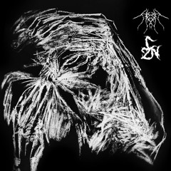 CZN X INMYFLESH - Used and Abused (1K special)