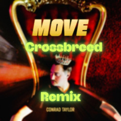 Conrad Taylor -  Move (Crossbreed rmx)
