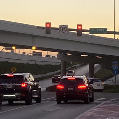 for you prod: recluse