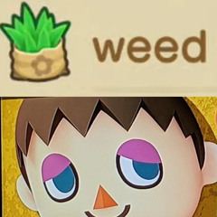NEW LEAF PACK! 🏡🏫🍃 #WHATITDOOO (PLUGP)