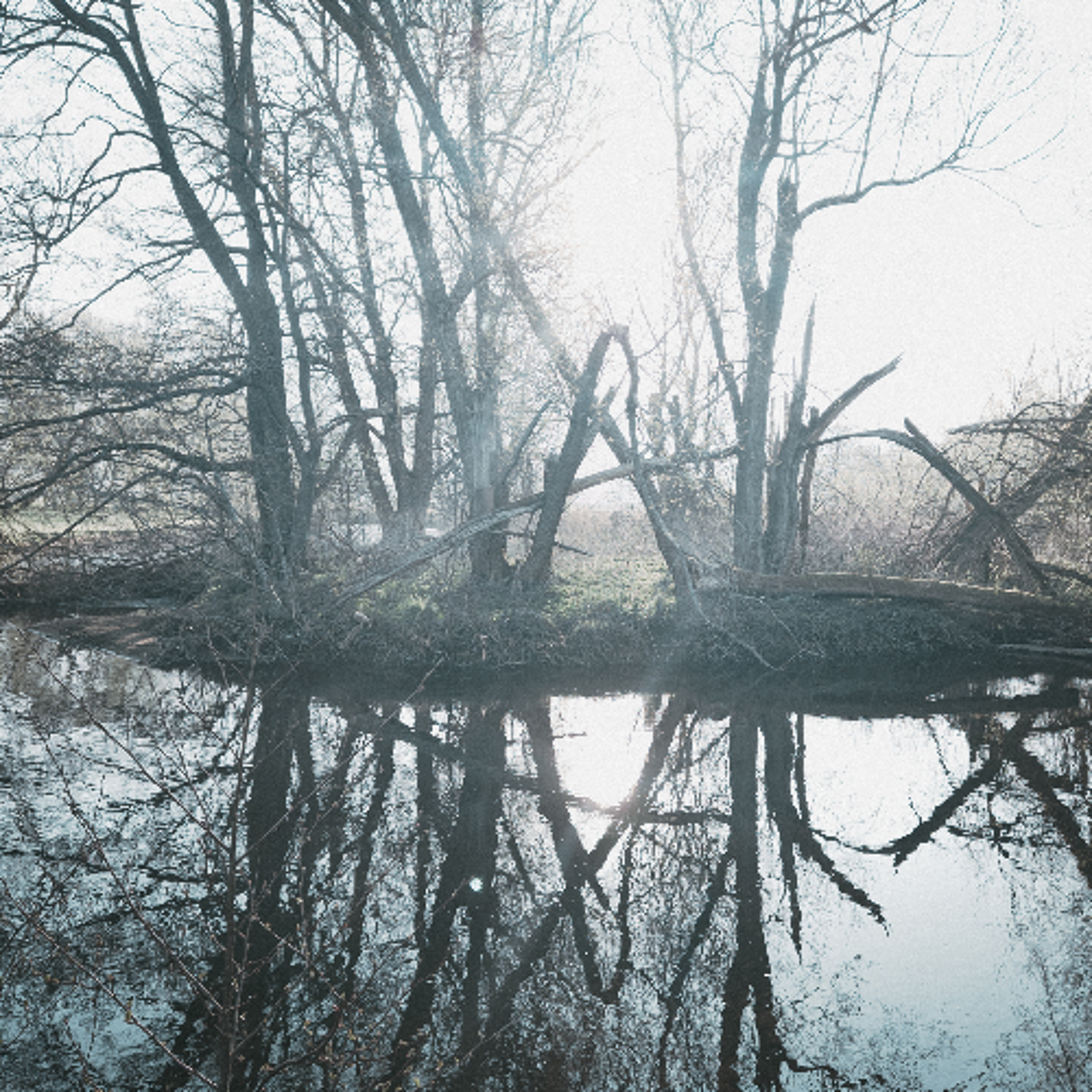 An Empty Dream in the Field of Tiles episode artwork