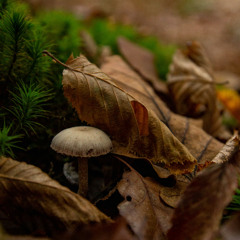 Good Things Still Happen Sometimes