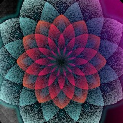 Bayle Sensula 1/30/21