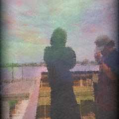 dosedinthawhip w/ 2haz (prod. daln)