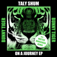 Taly Shum - On A Journey (Matteo Bruscagin Remix)