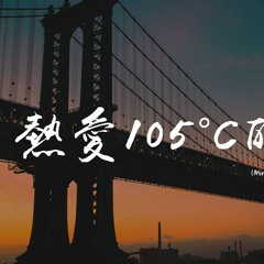 阿肆 - 热爱105°C的你 （Miracle Remix)【動態歌詞/pīn yīn gē cí】