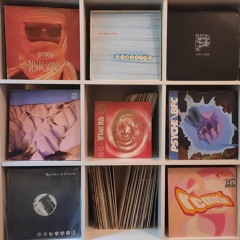 Ambient Classics 1989 - 1996 Mixed By Flo Chinga