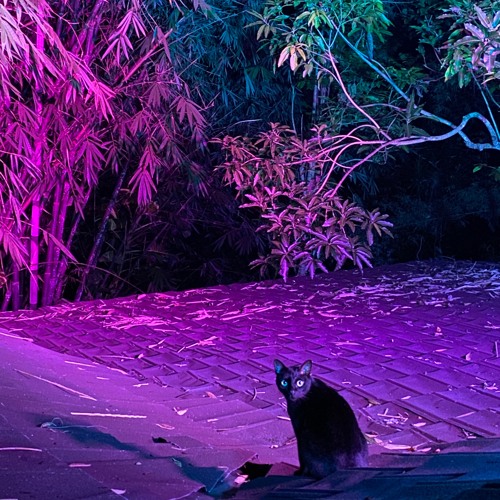 Stream Merciless Bali Dacha Dj Set June 2023 by Clemens Listen