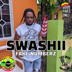 SWASHII - Fake Numberz / TruMon Dubplate
